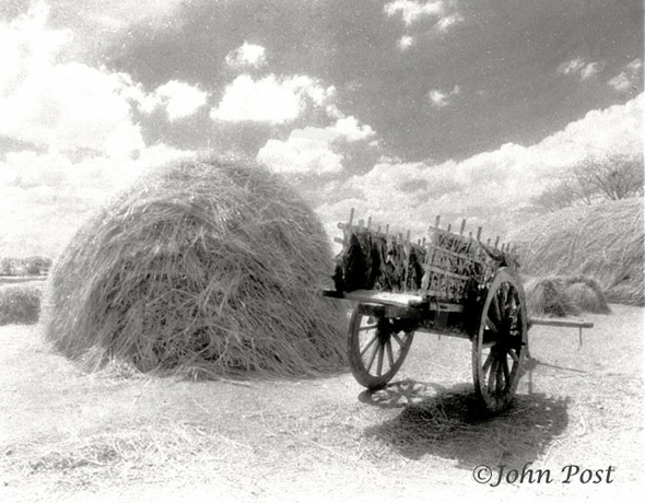 Wagon and Haystack India