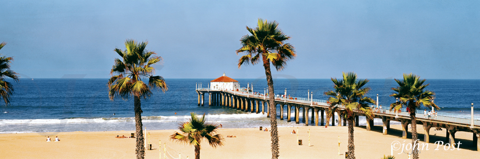View of Manhattan Beach Pier, beach and ocean thru palm trees