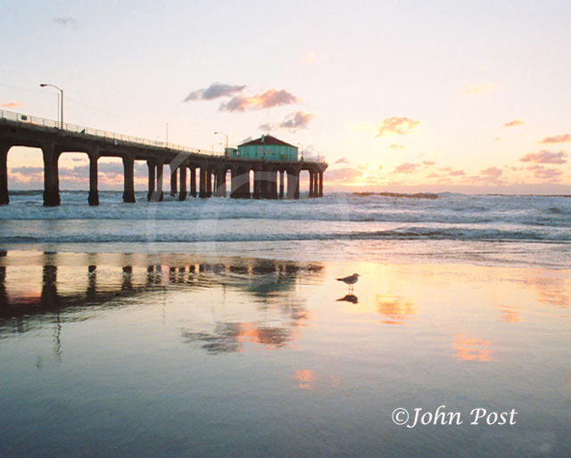 Low angle silhouette of Manhattan Beach Pier standing seagull and sunset & clouds.